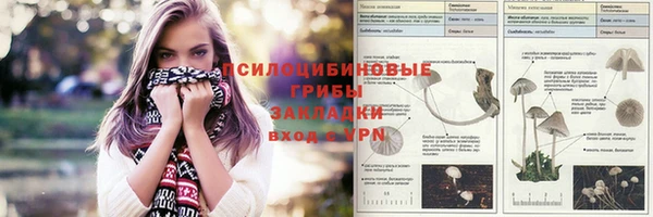 2c-b Слюдянка
