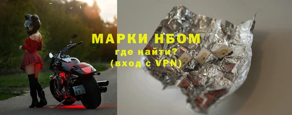 прущие грибы Снежинск