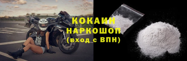 прущие грибы Снежинск