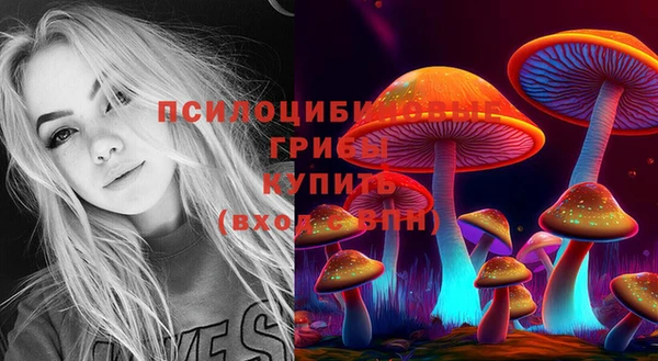 прущие грибы Снежинск