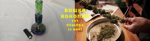 прущие грибы Снежинск