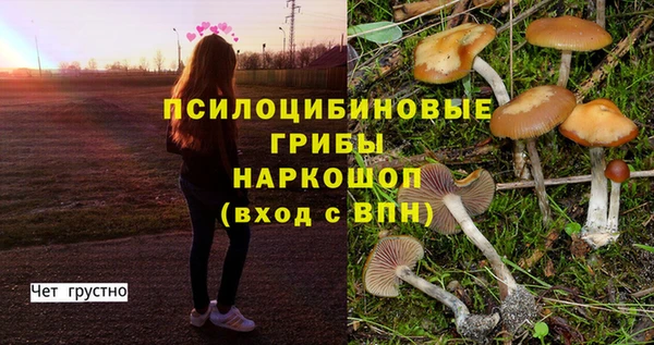 прущие грибы Снежинск