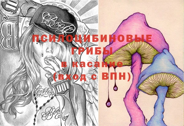 2c-b Слюдянка