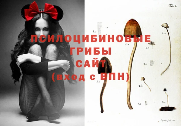 прущие грибы Снежинск