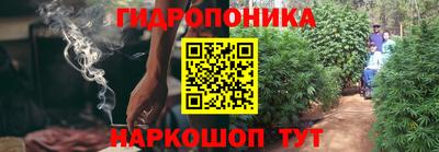 бошки Жуковский