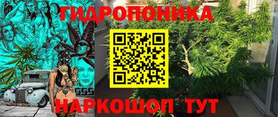 прущие крисы Заводоуковск