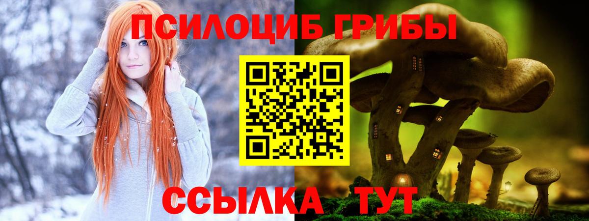 Ростов-на-Дону  Галлюциногенные грибы MAGIC MUSHROOMS  Вход с VPN 