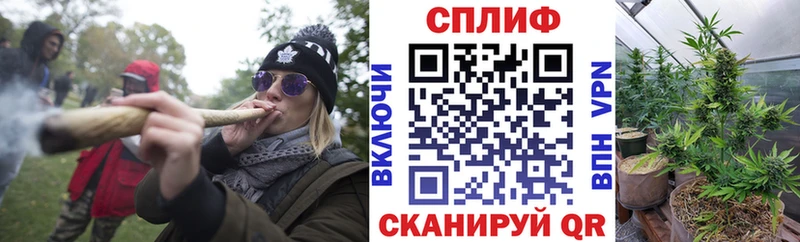 Конопля VHQ  Ростов-на-Дону 